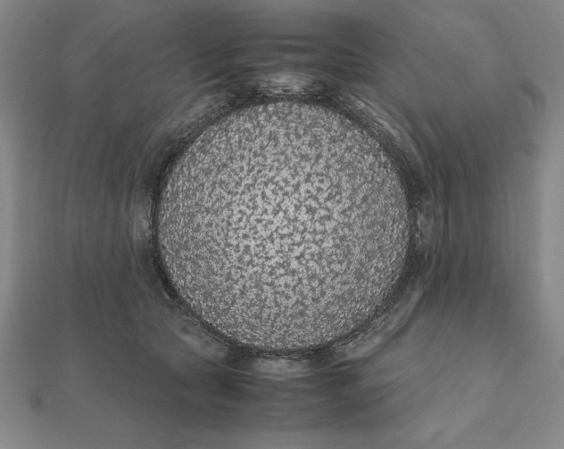 X0000112110561200908251214