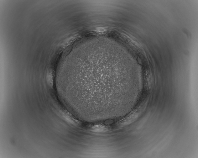 X0000112110562200908251214