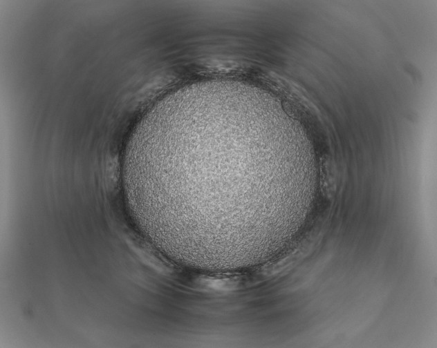 X0000112110563200908251214