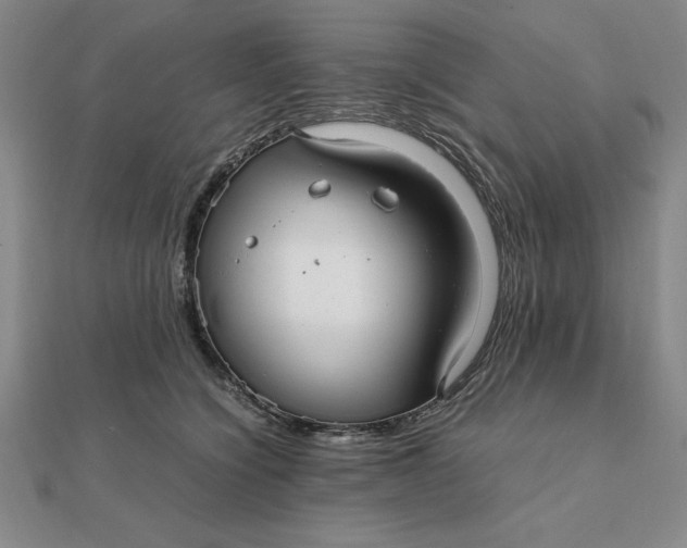 X0000112110564200908251214