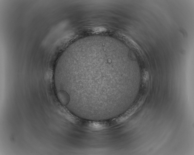 X0000112110565200908251214