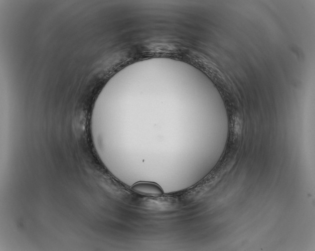 X0000112110567200908251214