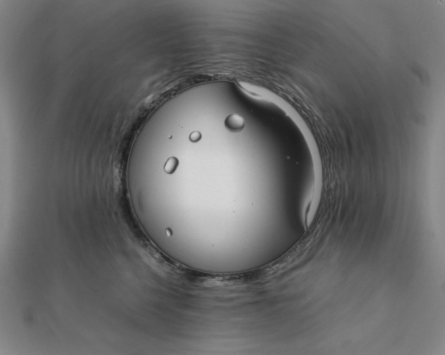 X0000112110568200908251214