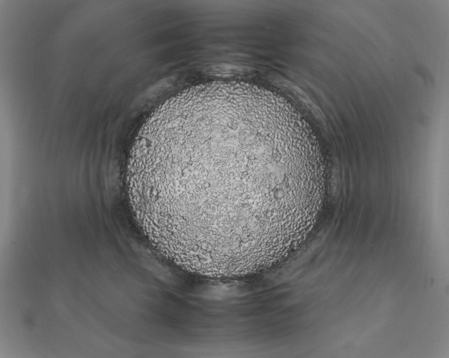 X0000112110569200908251214