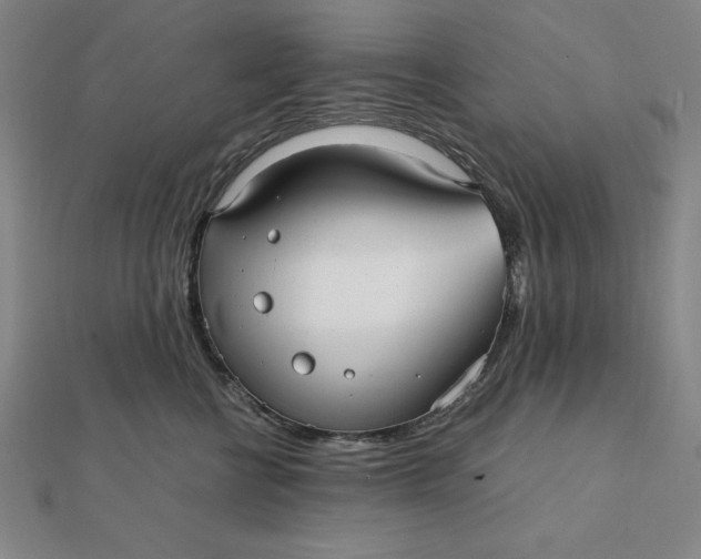 X0000112110570200908251214