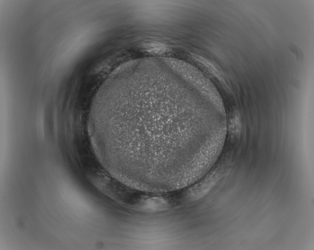 X0000112110572200908251214