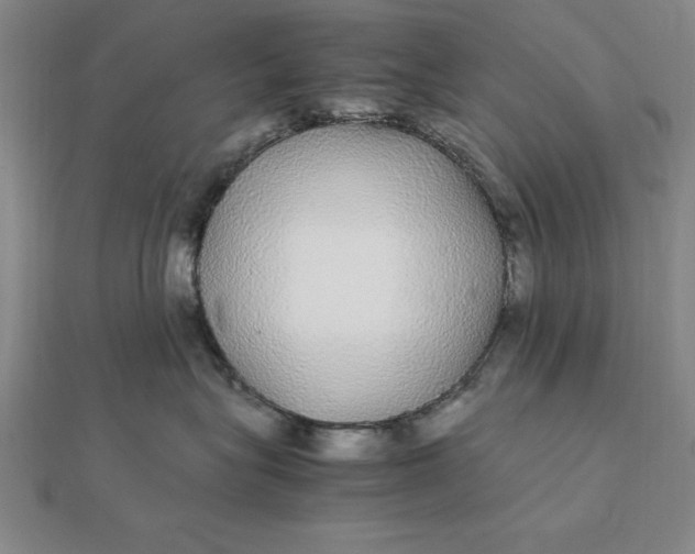 X0000112110575200908251214