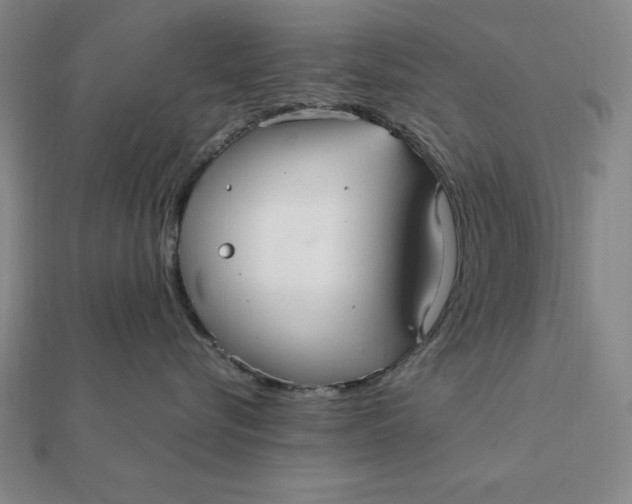 X0000112110576200908251214