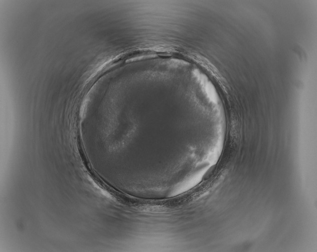 X0000112110577200908251213