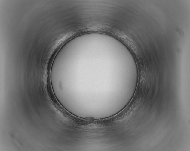 X0000112110578200908251213