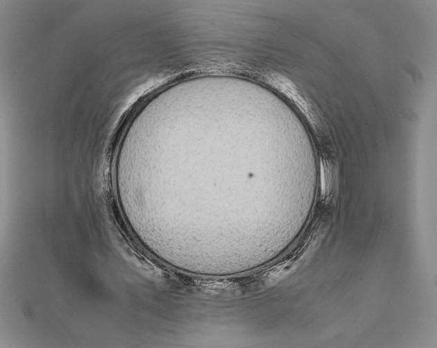 X0000112110579200908251213