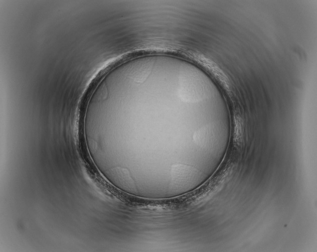 X0000112110580200908251213