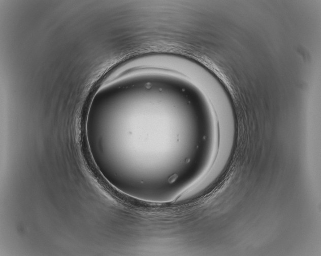 X0000112110581200908251213