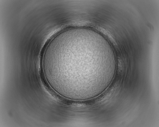 X0000112110582200908251213