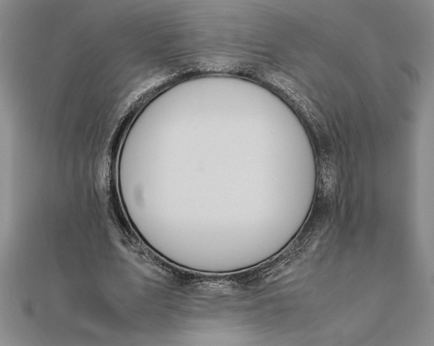 X0000112110583200908251213