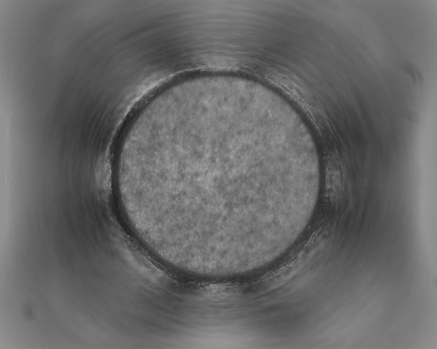 X0000112110584200908251213