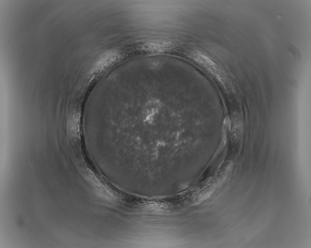 X0000112110585200908251213