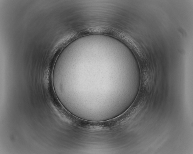 X0000112110586200908251213