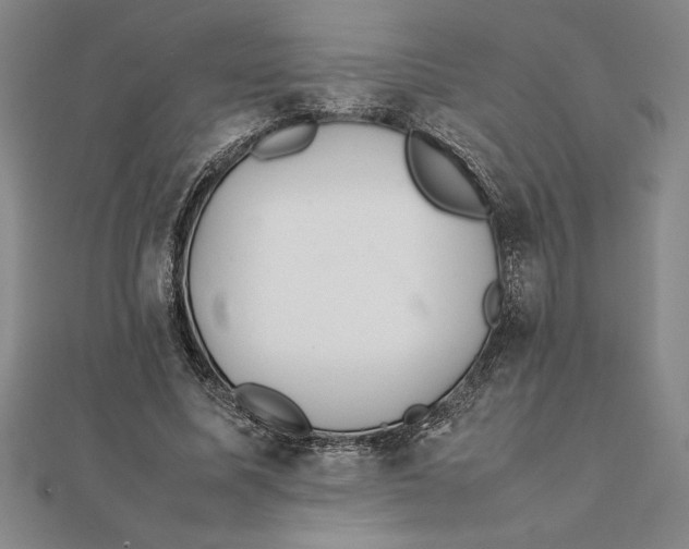 X0000112110587200908251213