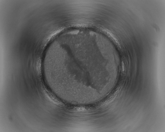 X0000112110588200908251213