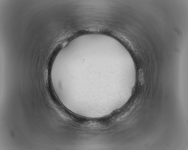 X0000112110589200908251213