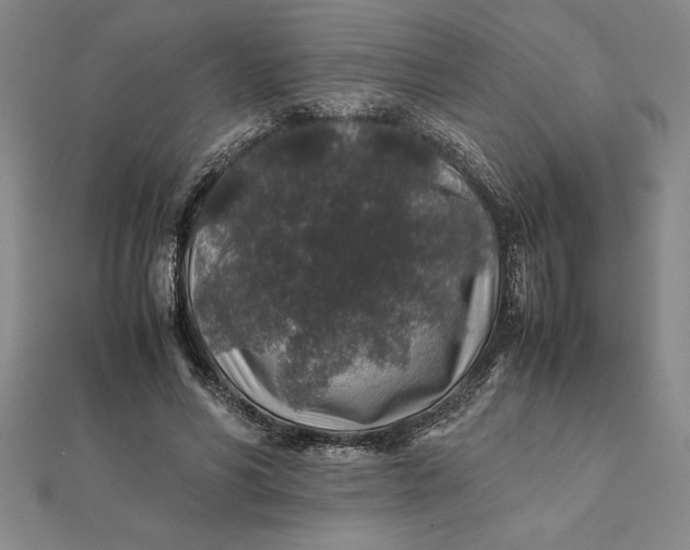 X0000112110590200908251213