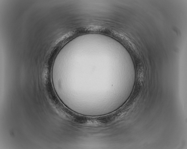 X0000112110591200908251213