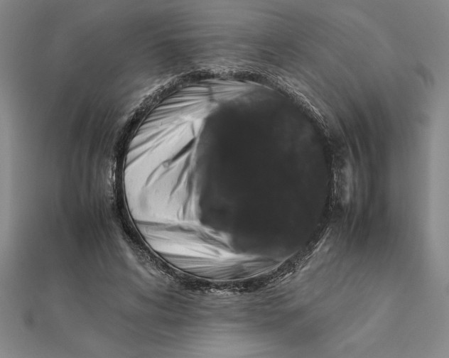 X0000112110592200908251213