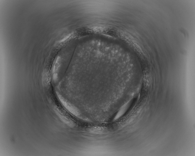 X0000112110593200908251213