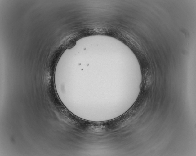 X0000112110595200908251213