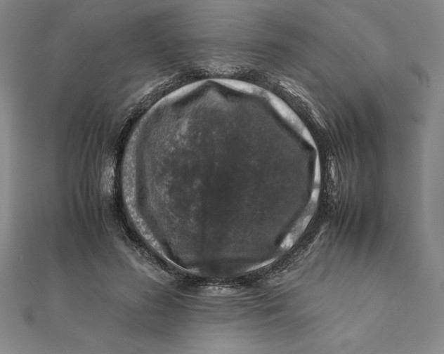 X0000112110596200908251213