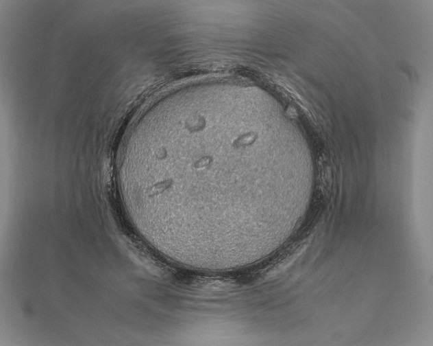 X0000112110597200908251213