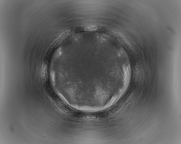 X0000112110598200908251213