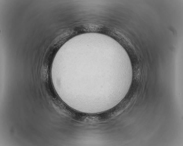 X0000112110599200908251213