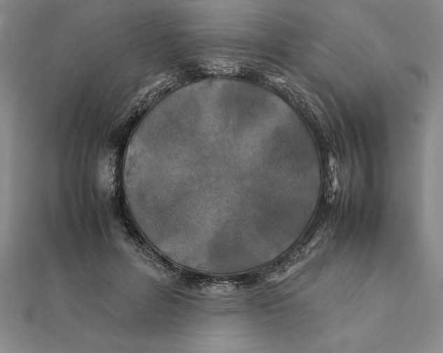 X0000112110600200908251213