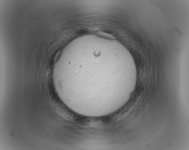 X0000112110601200908251213