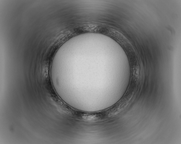 X0000112110602200908251213