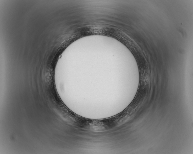 X0000112110603200908251213