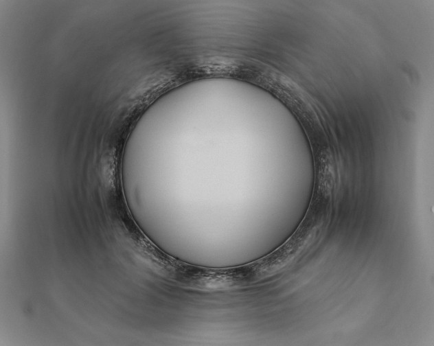 X0000112110604200908251213