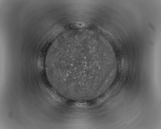 X0000112110606200908251213