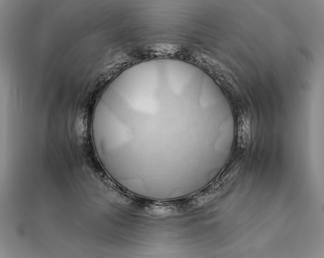 X0000112110608200908251213