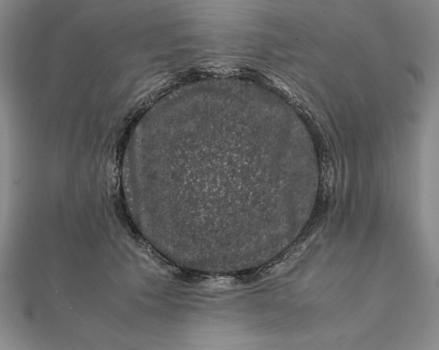 X0000112110609200908251213