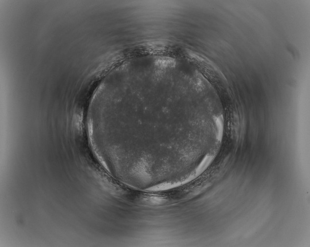 X0000112110610200908251213