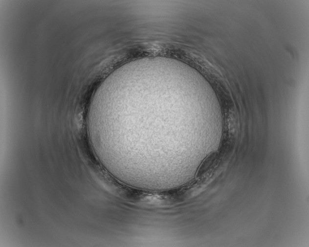 X0000112110611200908251213