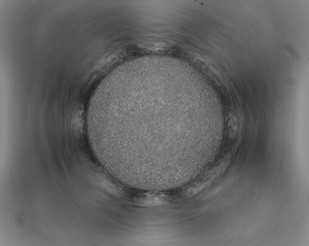 X0000112110612200908251213