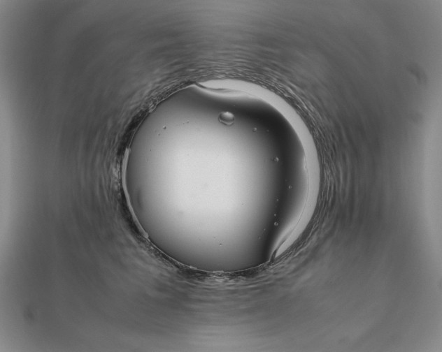 X0000112110613200908251213