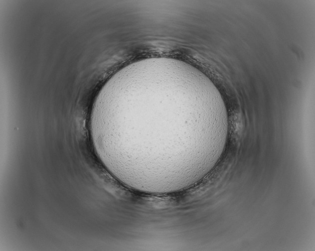 X0000112110615200908251213