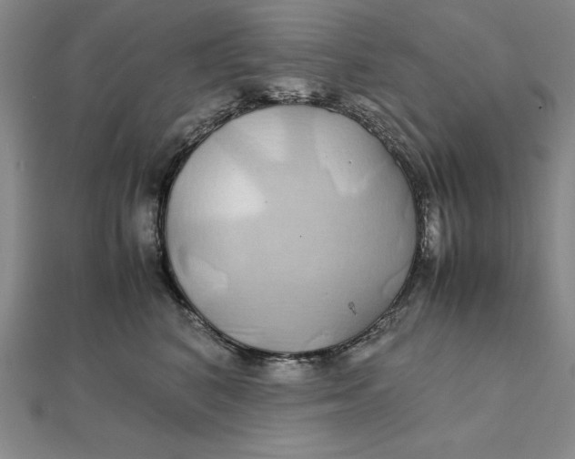 X0000112110616200908251213