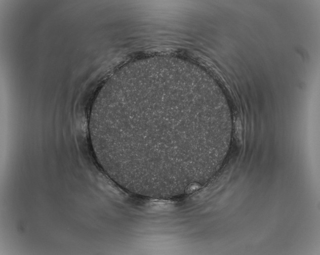 X0000112110617200908251213