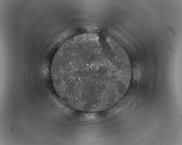 X0000112110618200908251213